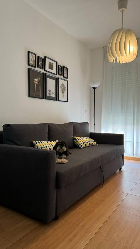 Apartamentos Felip 3 巴里亚纳 外观 照片
