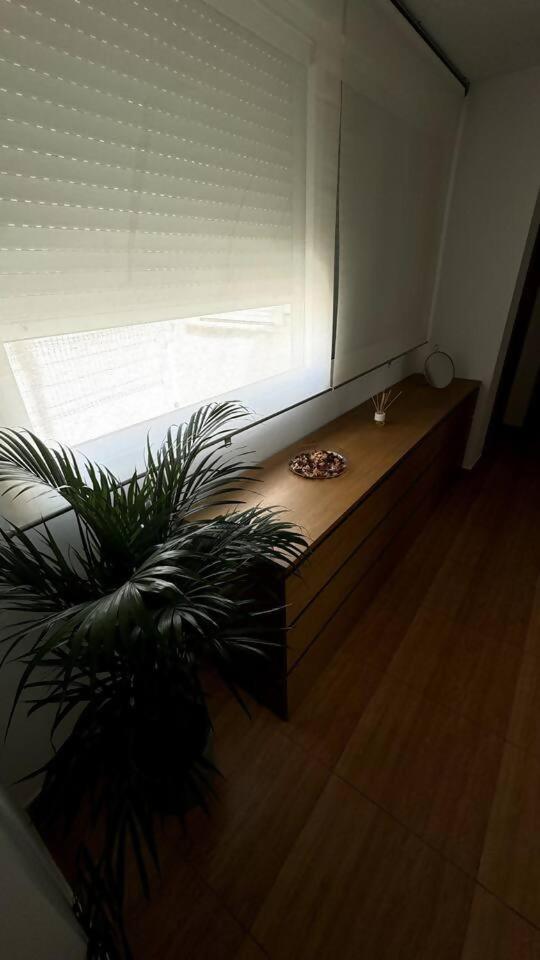 Apartamentos Felip 3 巴里亚纳 外观 照片